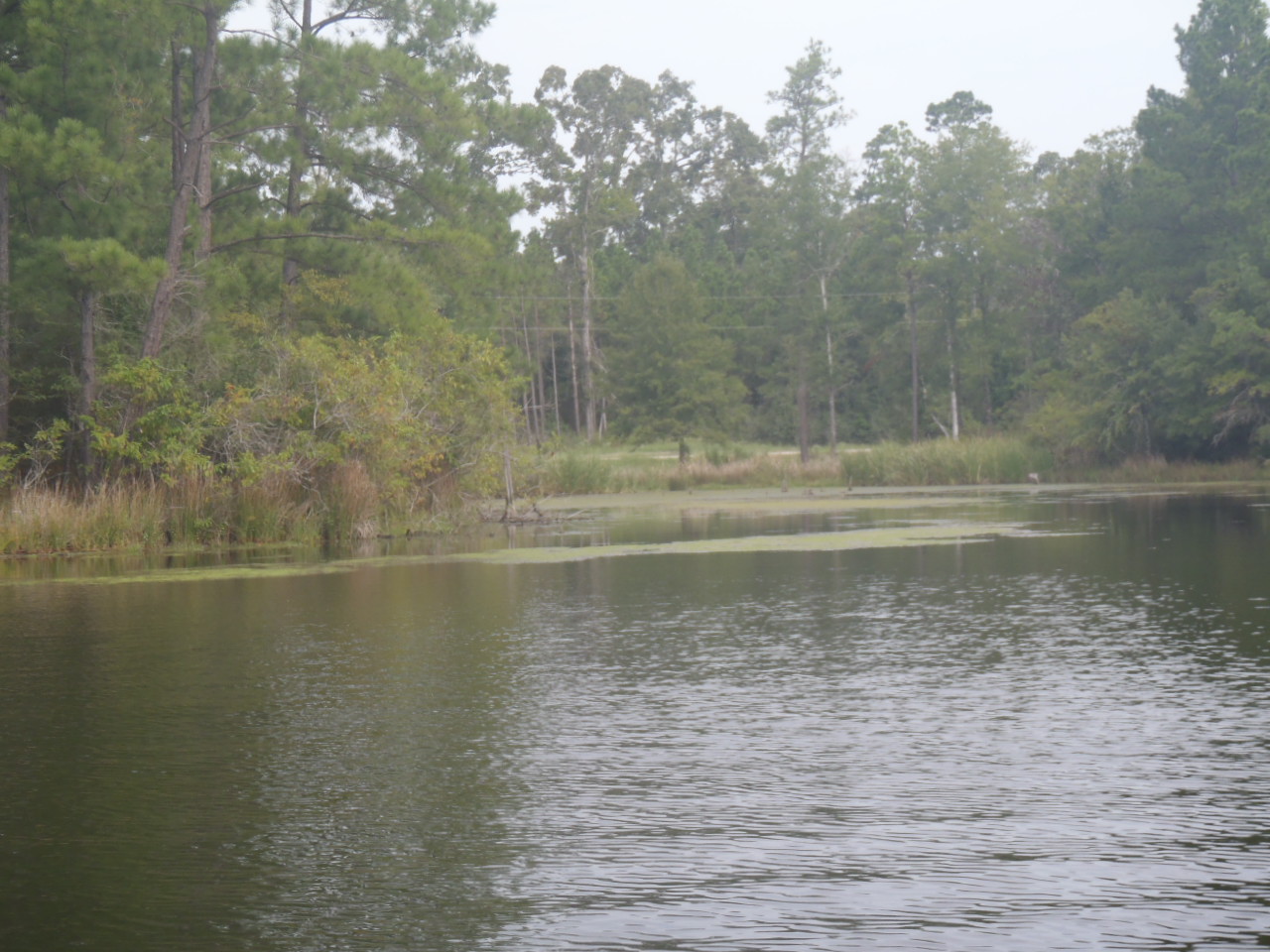 Attached picture Twin Creeks 029.jpg